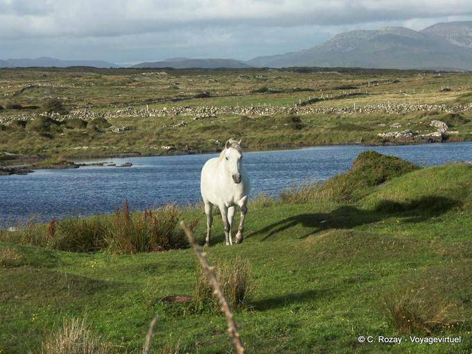  - Irland