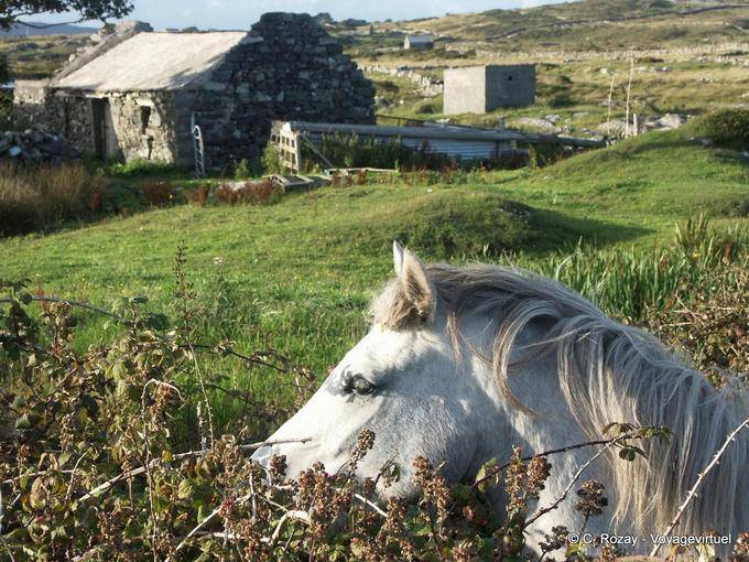  - Irland