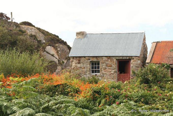 Typische Ferienhaus und Farne, Donegal Rosses - Irland