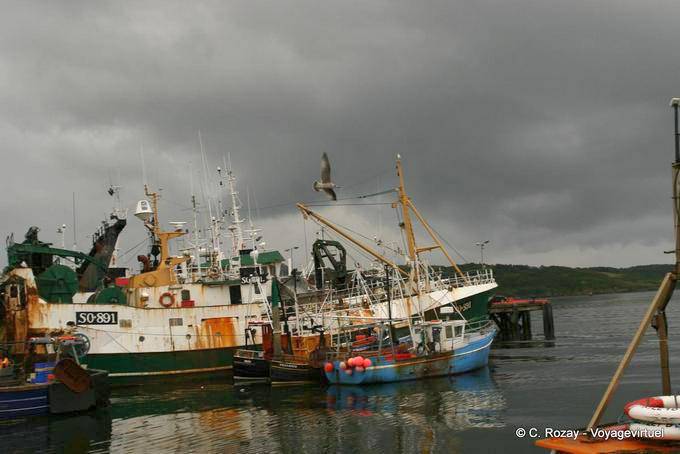 Fischerboote im Hafen von Killybegs, Donegal - Irland