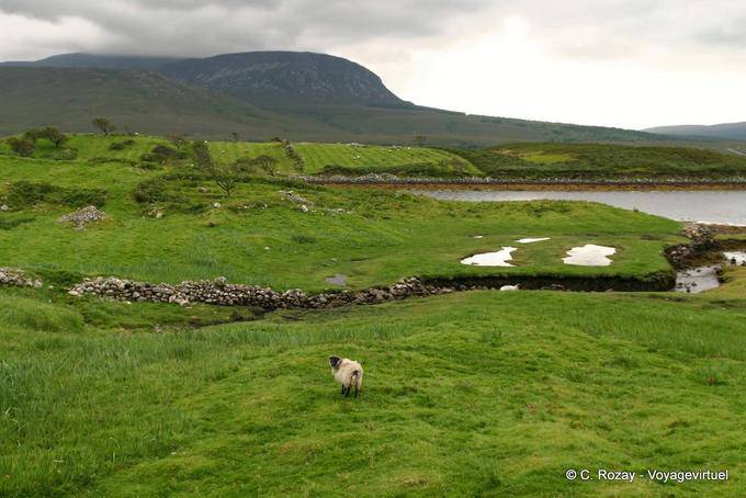 Landschaft auf dem Weg in Mulranny, Mayo - Irland