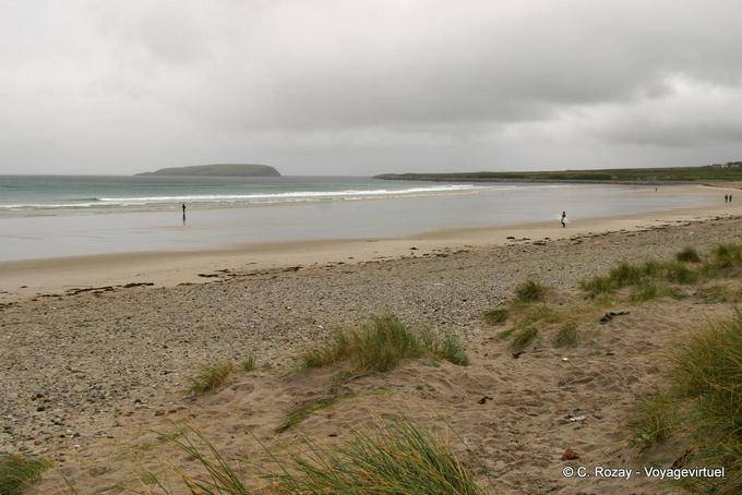 Brave am Strand von Keel, Achill Island - Irland