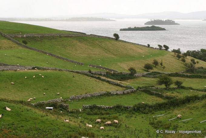 Inseln von Lough Corrib, um Cornamona, Connemara - Irland