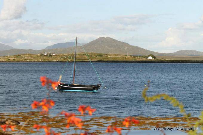 Hooker warten Regatta, Roundstone, Connemara Galway - Irland