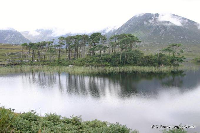 Reflexionen von Kiefern in den See, Connemara - Irland