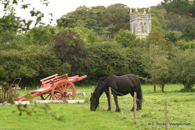 Weiden lassen der Pferde, Walled Garden, Bunratty Folk Park - Irland