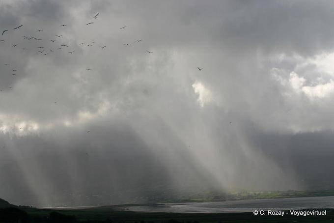 Regen und Vögeln, Lough Gill, Dingle - Irland