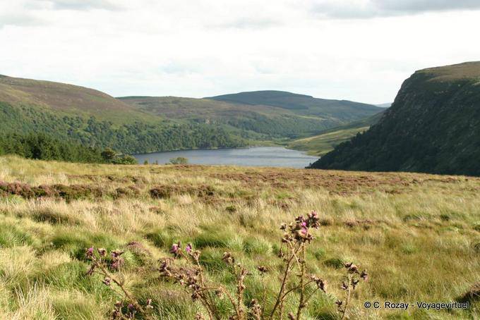 Landschaft rund um den See Luggala - Irland