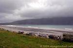 Am Strand, einer großen Auswahl an Keel, Achill Island, Irland.