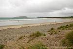 Brave am Strand von Keel, Achill Island, Irland.