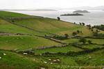 Inseln von Lough Corrib, um Cornamona, Connemara, Irland.