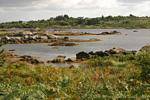 Landschaft Richtung Carna, Connemara, Irland.