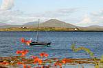 Hooker warten Regatta, Roundstone, Connemara Galway, Irland.