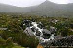 Torrent in den Bergen von Conor Pass, Dingle, Irland.