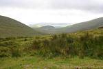 Moorlandschaft in Richtung Fahamore Conor Pass, Dingle, Irland.