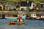 Boote im Hafen von Dingle, Irland.