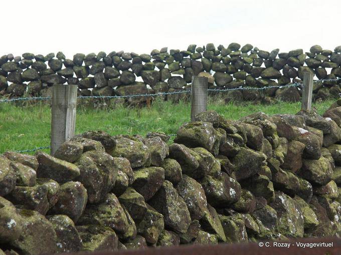 Steinmauer, typisch für Ulster Landschaft, trennen Weiden, Antrim Coast - Nord-Irland