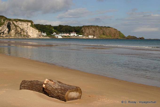 Treibholz auf dem Sand vor dem Hafen Braddan, White Park Bay - Nord-Irland