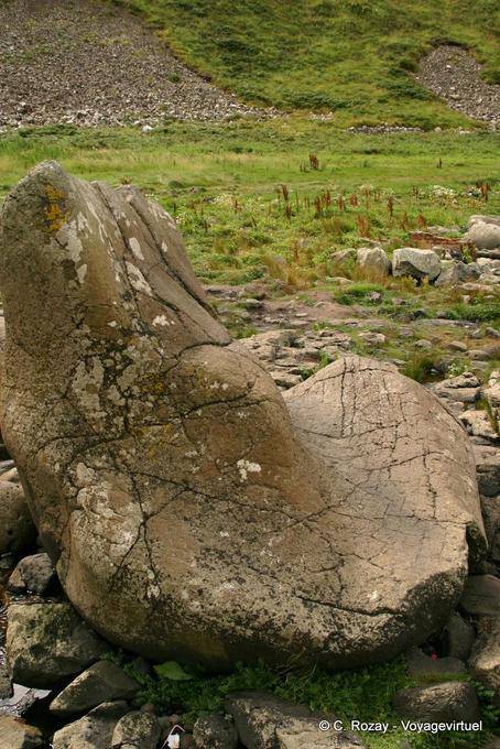 Die Riesen-Kofferraum, Steinblock, um die komplizierte Form, Giants Causeway - Nord-Irland