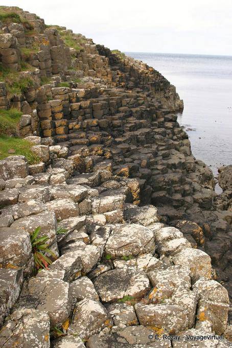 Querstruktur Basalt Schornsteine, Giants Causeway - Nord-Irland