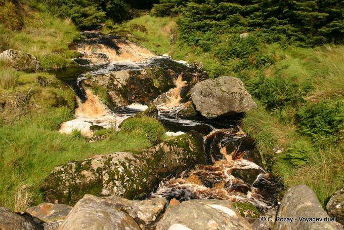 Kleinen Bach auf Glenaan Road, Antrim Guiness - Nord-Irland