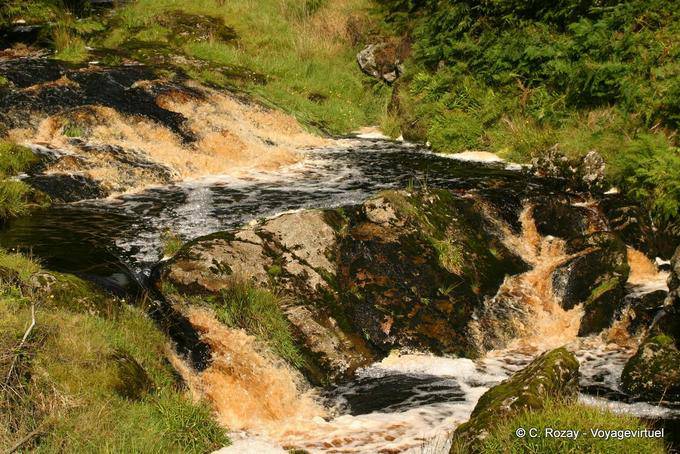 Stromwasser mit der Farbe des Guiness, Glens of Antrim - Nord-Irland