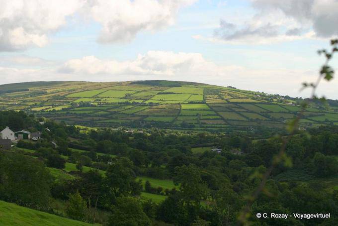 Geschnitzte Landschaft Haine, Antrim - Nord-Irland