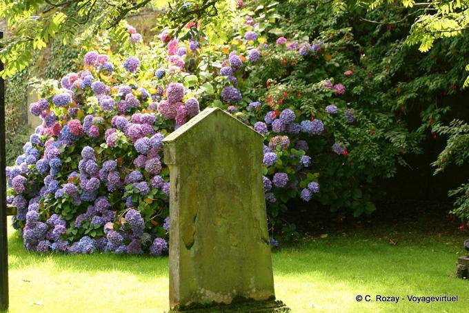 Stele vor den Hortensien St Augustkirche, Derry - Nord-Irland