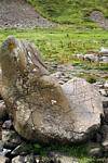 Die Riesen-Kofferraum, Steinblock, um die komplizierte Form, Giants Causeway, Nord-Irland.