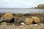 Haufen von Felsen am Ufer, Giants Causeway, Nord-Irland.