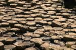 Naturpflaster, Giants Causeway, Nord-Irland.