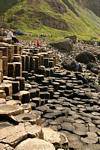 Ruhe auf dem Basalt Polygone, Giants Causeway, Nord-Irland.