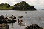 Fraiche Schwimmen, Giants Causeway, Nord-Irland.