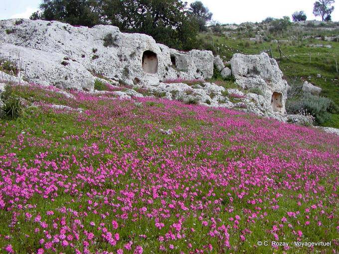 Blumige Höhle Bereich Ispica - Italien