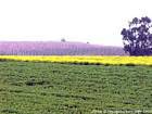 Farben der italienischen Landschaft, Italien.