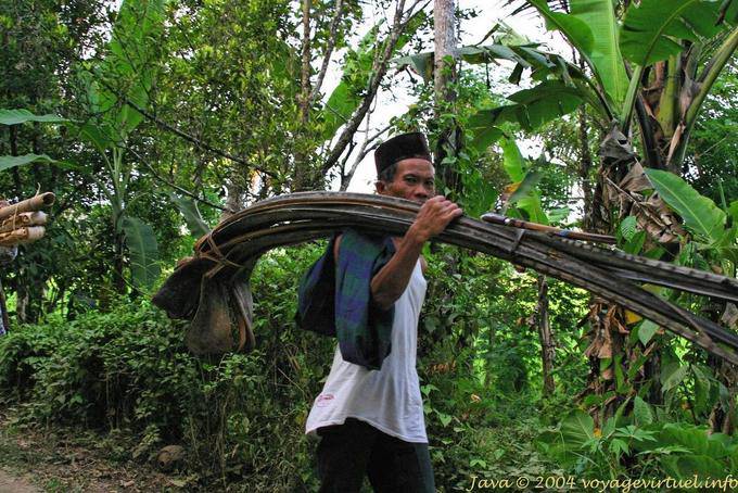 Palm ernten, um ein Dach zu decken, Jambewangi, Java - Indonesien