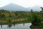 Reisfelder Landschaft inmitten von Vulkanen, Java Landschaft, Indonesien.