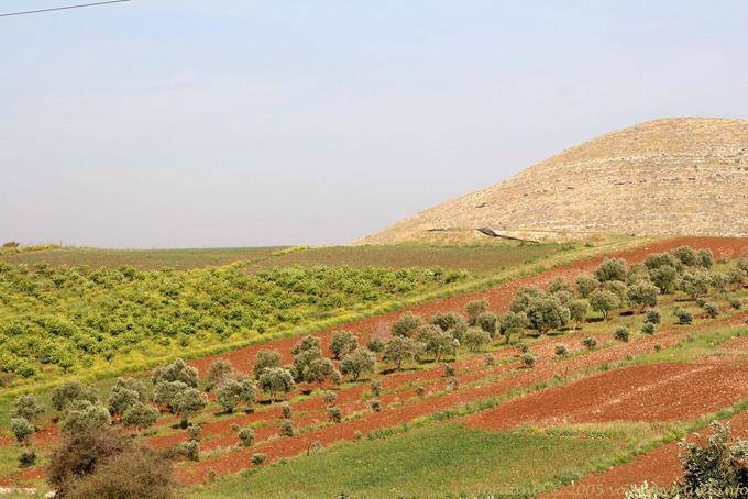 Ajlun, Farben in der Natur - Jordanien