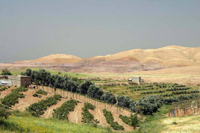 Kulturen im Mineral Wüste, Jordanien - Jordanien