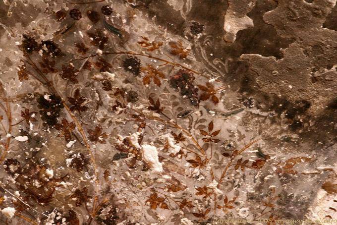 Nabatean Farbe floral, Siq al-Barid, Little Petra - Jordanien