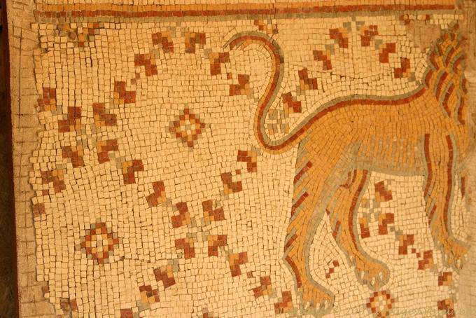 Löwe, Teilansicht eines Mosaik, Madaba - Jordanien
