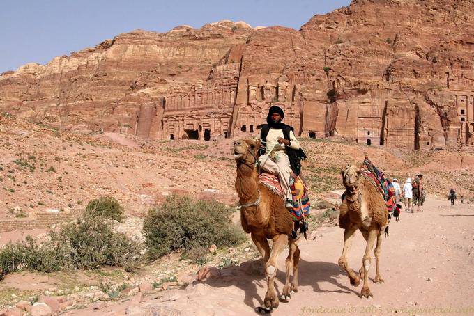 Kamel vor der Königsgräber, Petra Khubta - Jordanien