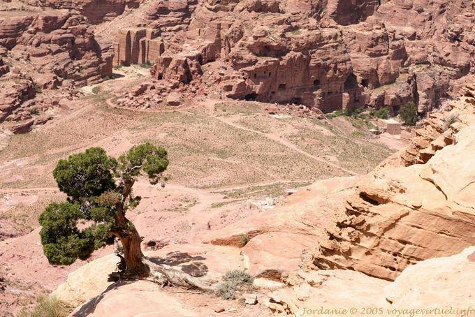Sicht auf das Tal verengt sich von der Höhe, Petra Zib Attuf - Jordanien