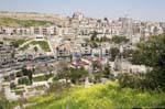 Garten im Herzen von Amman, von der Zitadelle von Amman sehen, Jordanien.