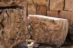 Finesse Dekoration, Sturzfragment, Jerash, Jordanien.
