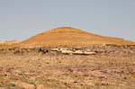Hill Schafe, Jordanien, Jordanien.