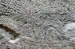 Detail des antiken Mosaik schmücken den Boden der Kirche des VI Jahrhunderts Madaba, Jordanien.