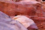 Der kleine Vogel auf dem Felsen, Petra, Jordanien.