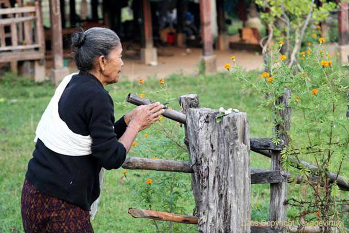 Morgengebet, Insel Khong, Laos