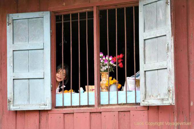 Cuckoo durch das Fenster, Insel Khong, Laos